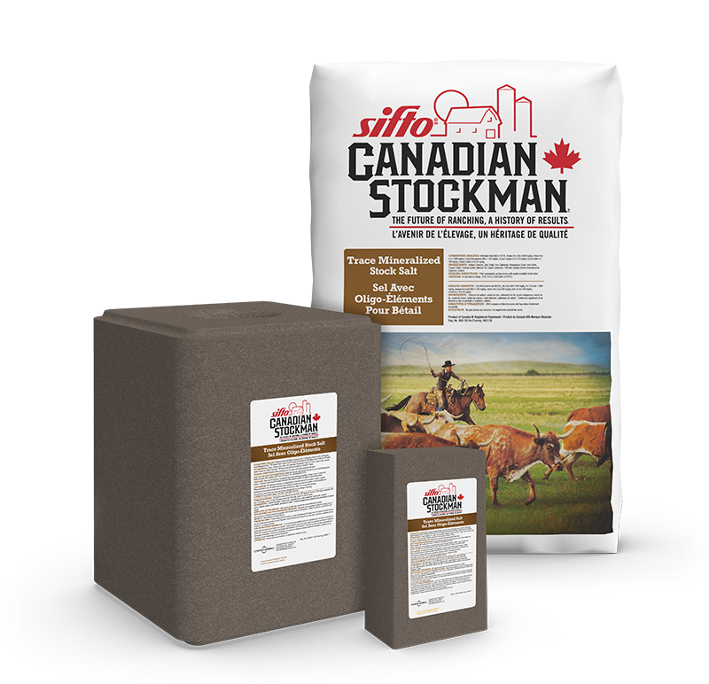 Sifto® Canadian Stockman® Trace Mineralized Block, Stock and Lick