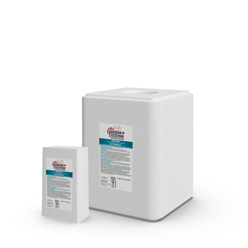 A block and a lick of Sifto Canadian Stockman Plain Salt animal nutrition
