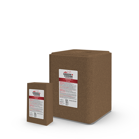 A block and a lick of Sifto Canadian Stockman Iodized Salt animal nutrition