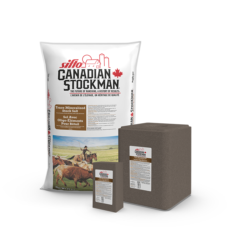 A bag, a block, and a lick of Sifto Canadian Stockman Trace Mineralized Salt animal nutrition