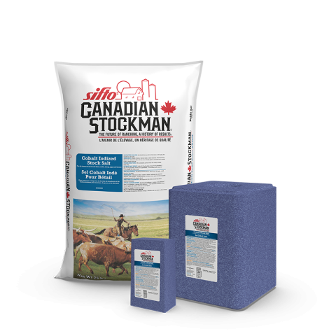 A bag, a block, and a lick of Sifto Canadian Stockman Cobalt Iodized Salt animal nutrition