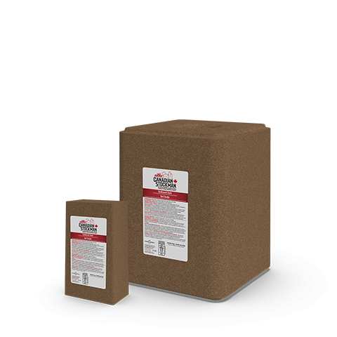 A block and a lick of Sifto Canadian Stockman Iodized Salt animal nutrition